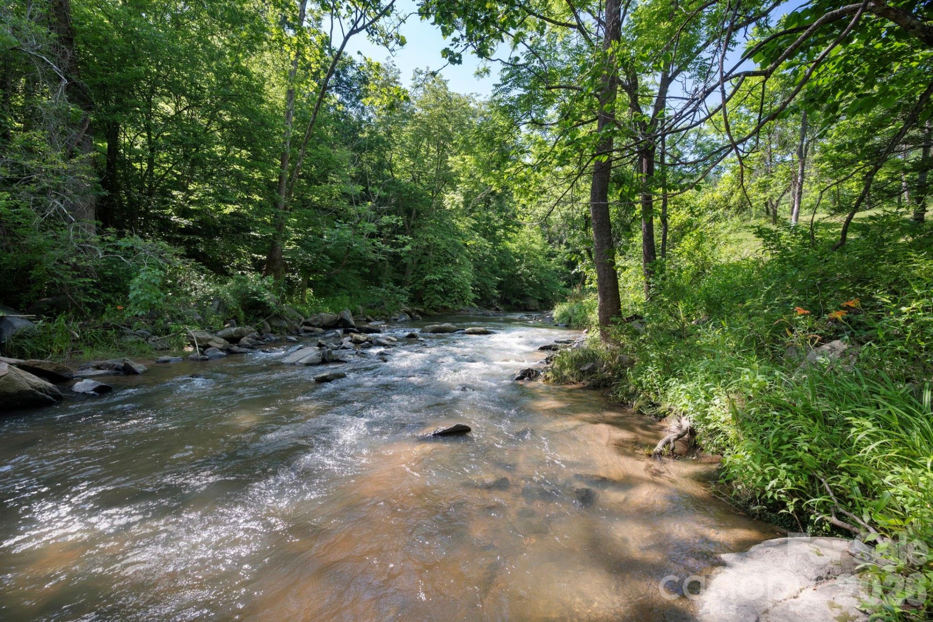 2896 Old Mars Hill Highway - Photo 28
