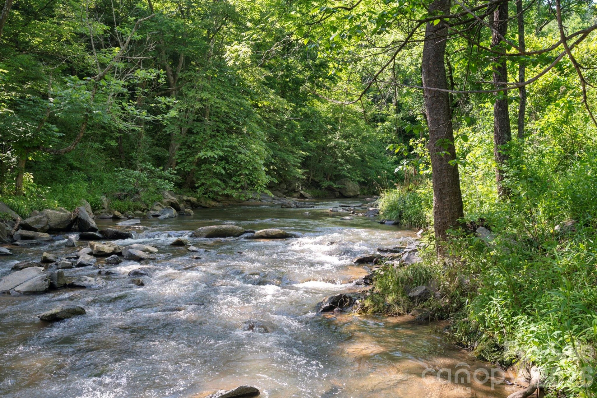 2896 Old Mars Hill Highway - Photo 29