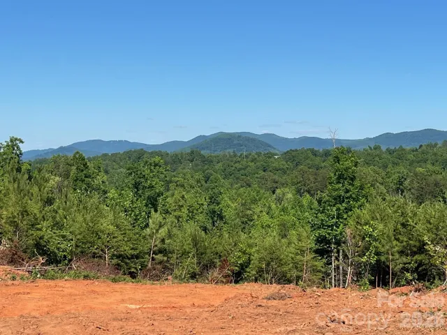 TBD Vein Mountain Road, Nebo, NC, 28761