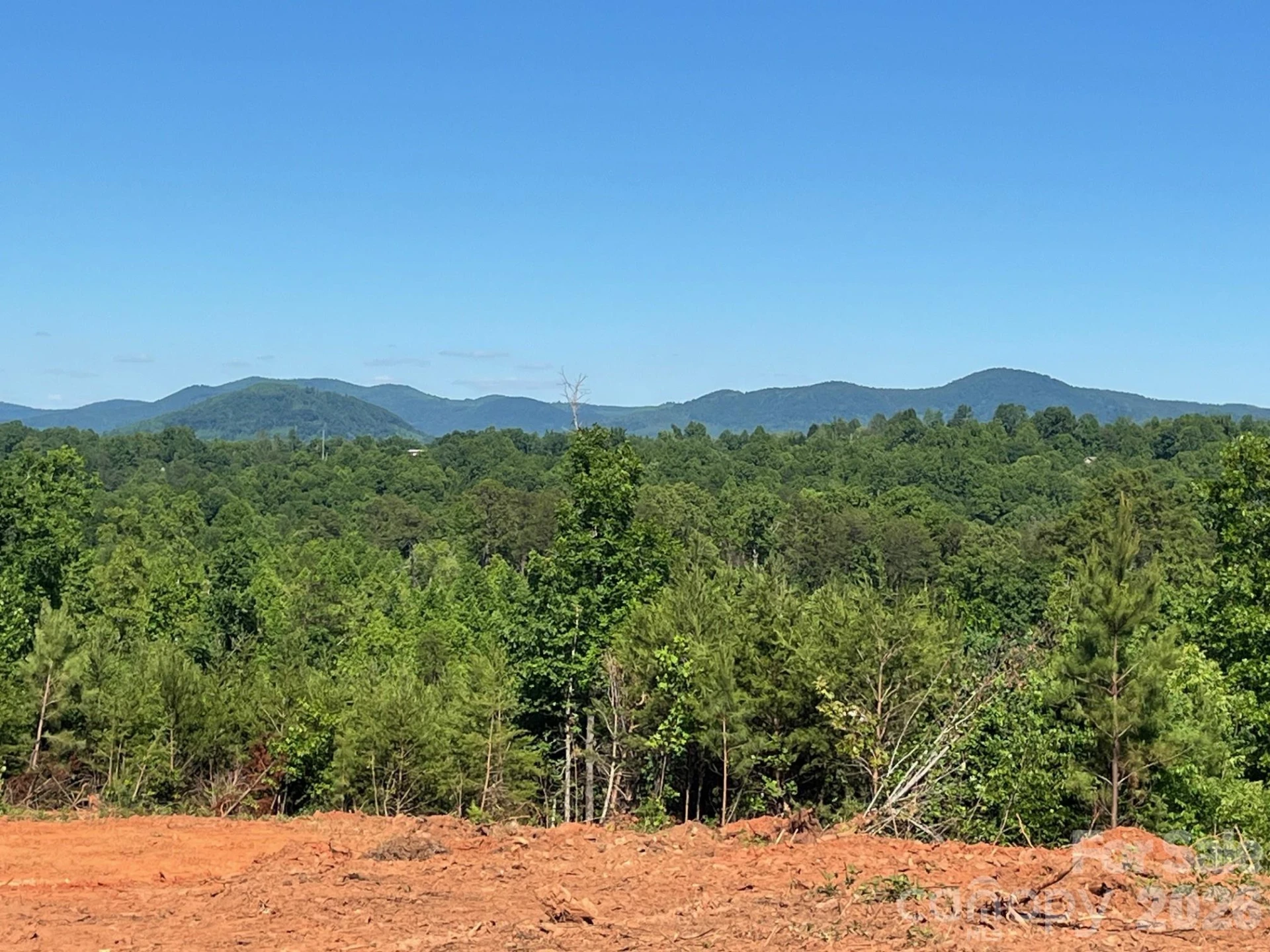 TBD Vein Mountain Road #20 - Photo 2