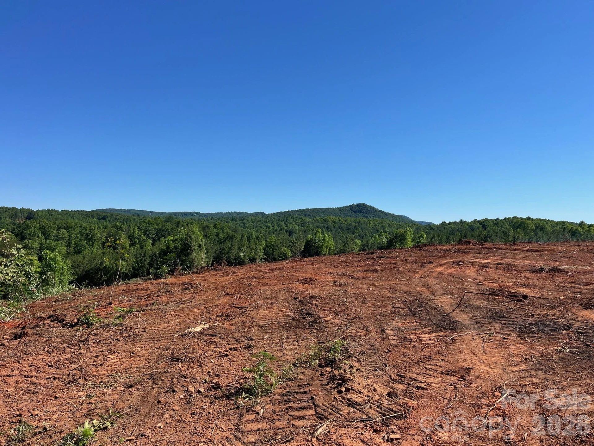 TBD Vein Mountain Road #20 - Photo 17