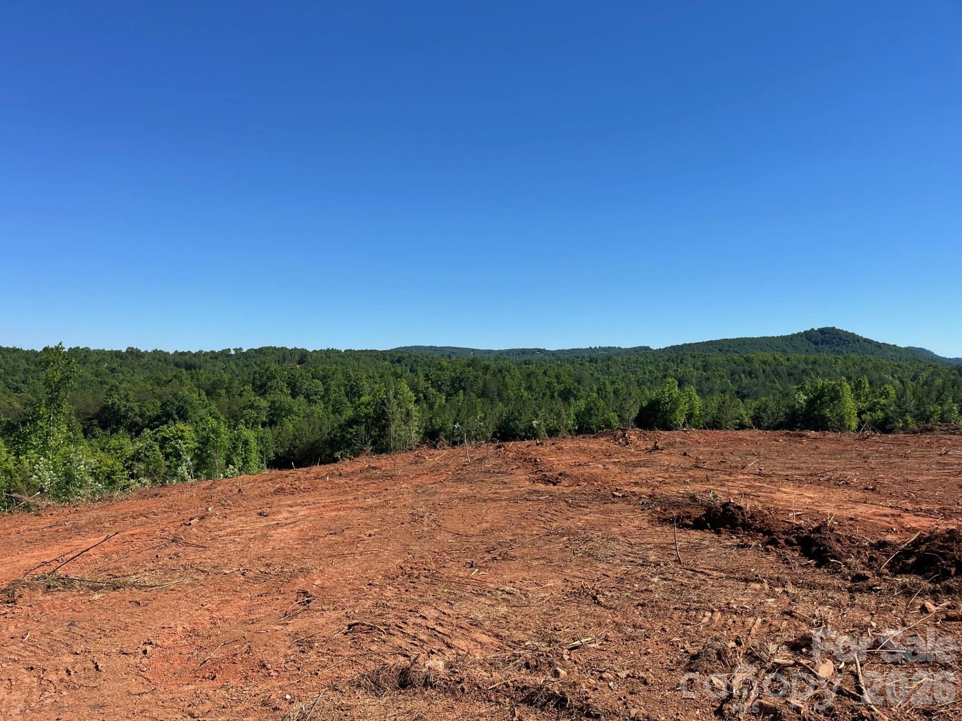 TBD Vein Mountain Road #20 - Photo 20