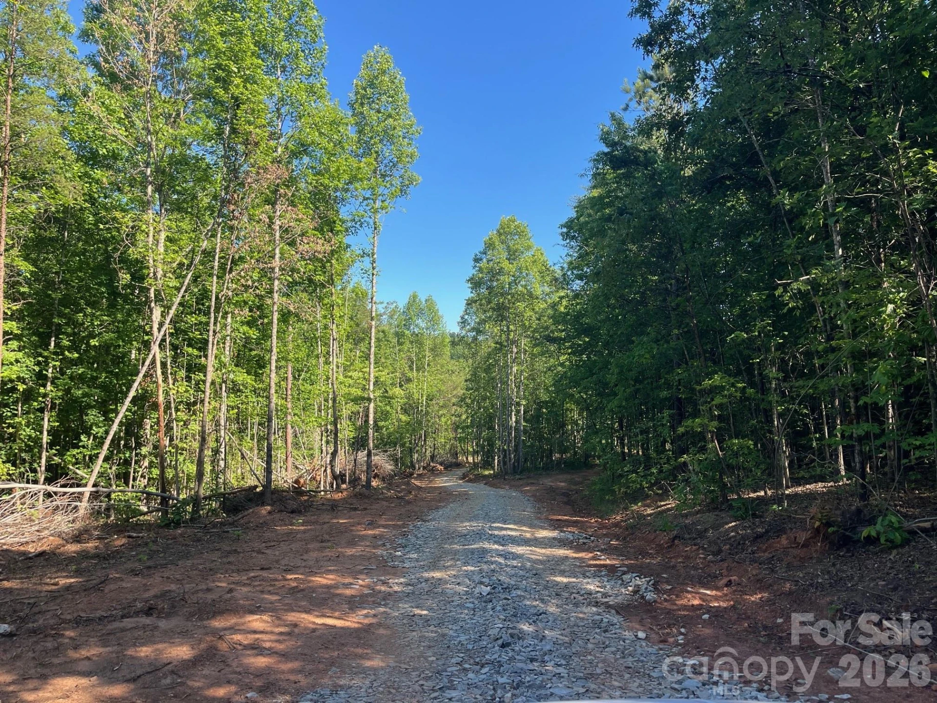 TBD Vein Mountain Road #20 - Photo 3