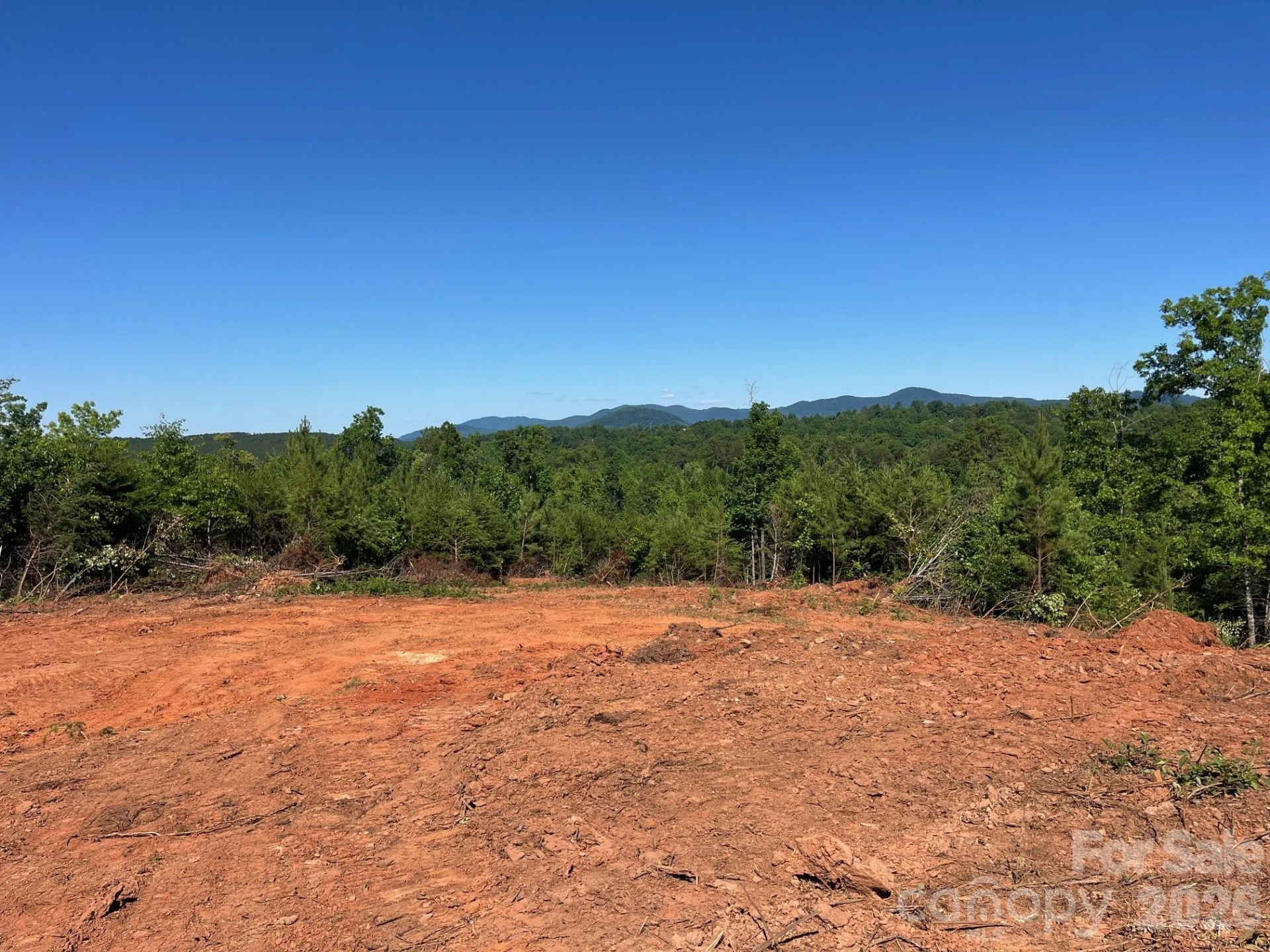 TBD Vein Mountain Road #20 - Photo 22