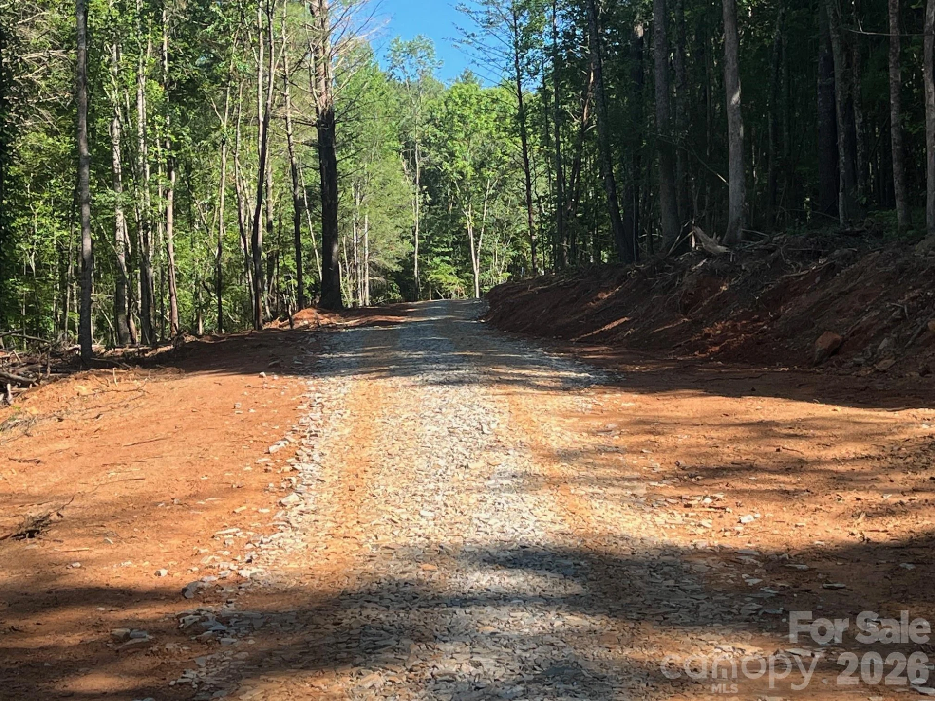 TBD Vein Mountain Road #20 - Photo 4