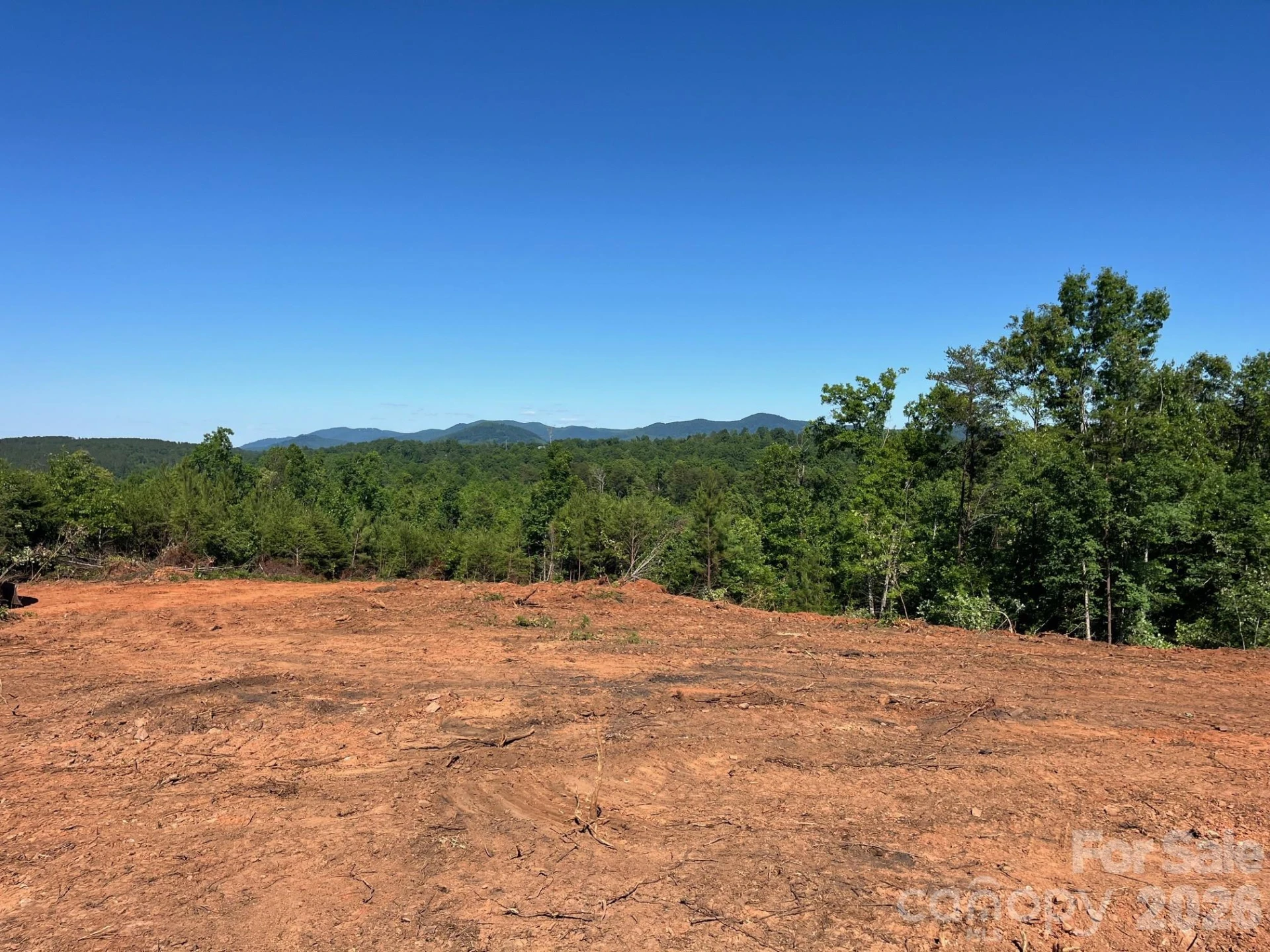 TBD Vein Mountain Road #20 - Photo 10