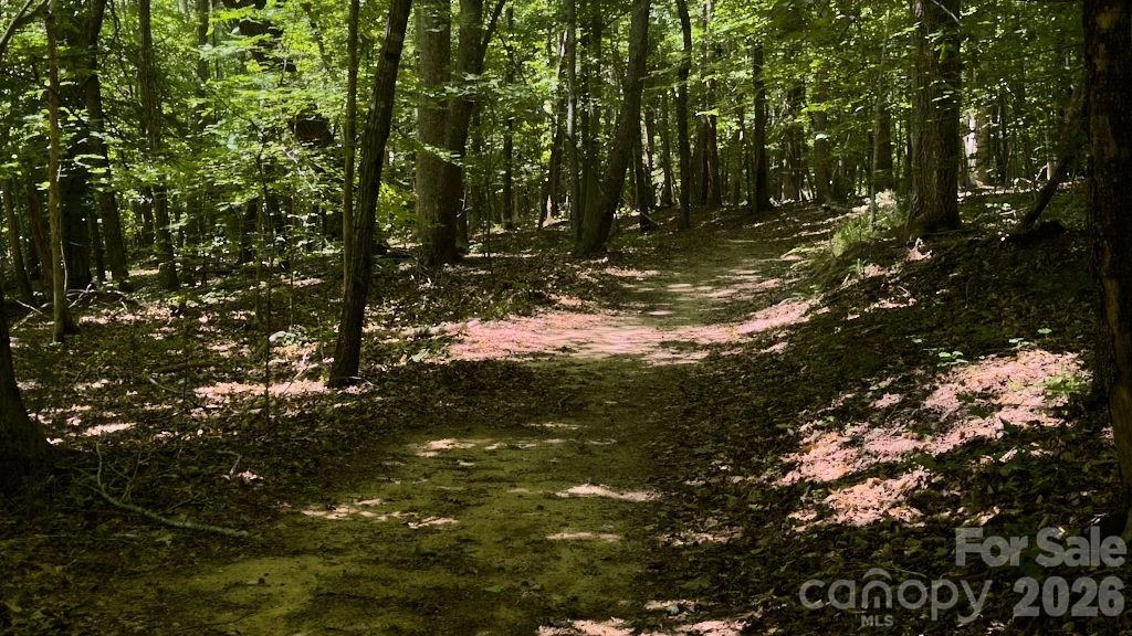 9818 NC 9 Lane - Photo 12