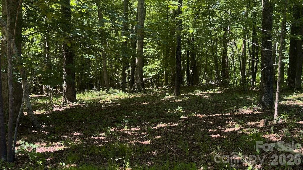 9818 NC 9 Lane - Photo 13