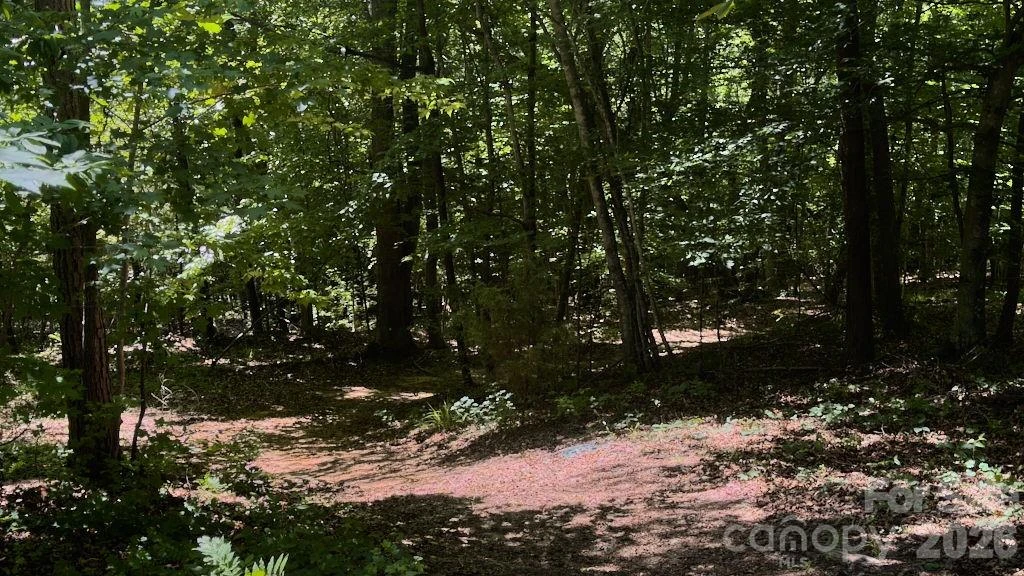 9818 NC 9 Lane - Photo 14