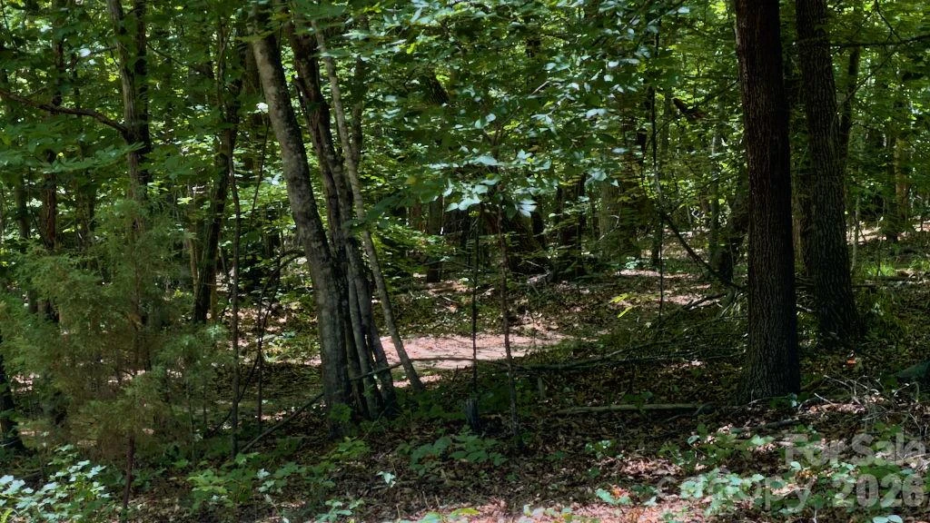 9818 NC 9 Lane - Photo 15