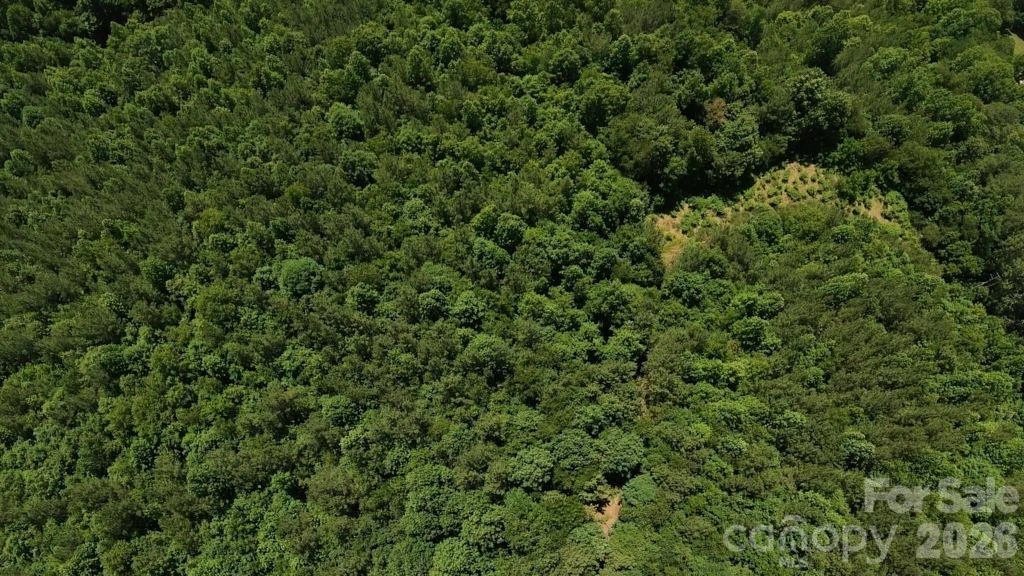 9818 NC 9 Lane - Photo 5
