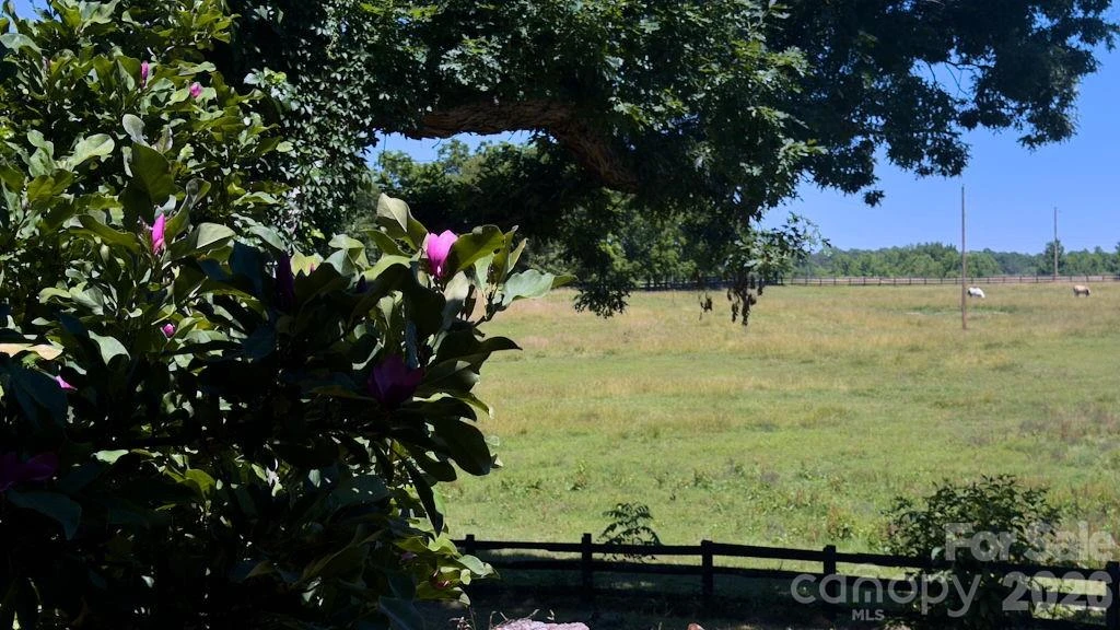9818 NC 9 Lane - Photo 6