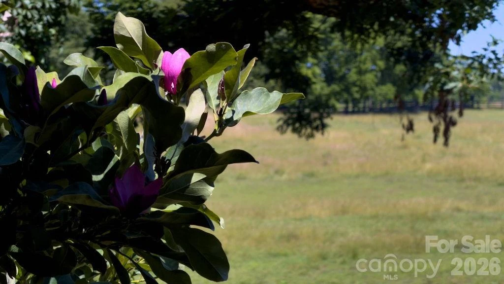 9818 NC 9 Lane - Photo 7