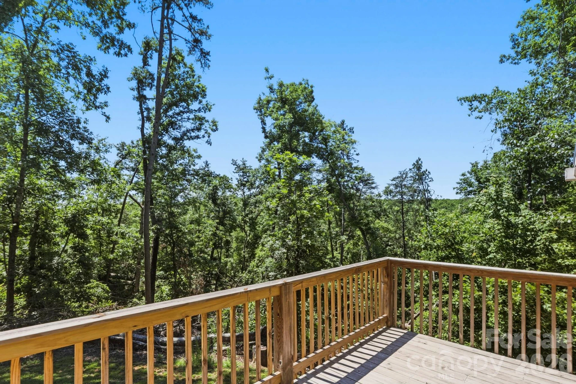 112 Forest Cove - Photo 9