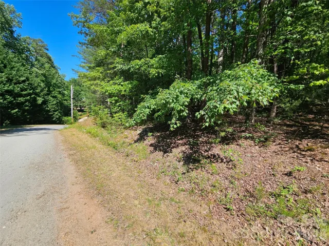 136 Doves Way, Lake Lure, NC, 28746