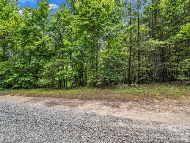 0 Sandpiper Avenue, Lake Lure, NC, 28746