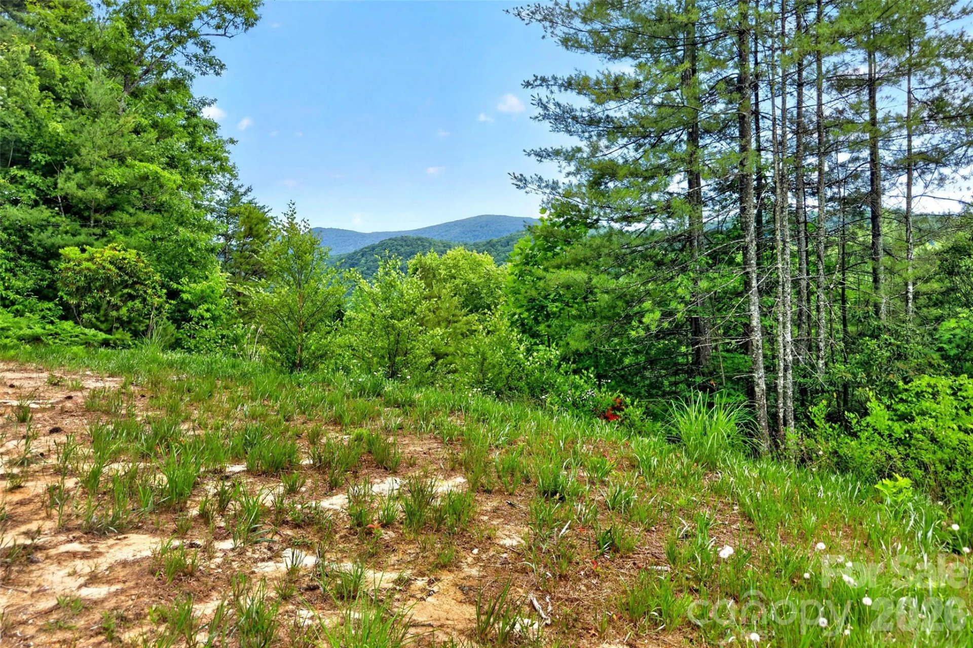 263 Lester Lane - Photo 5