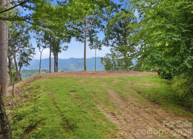 99999 Davidson Gap Road, Leicester, NC, 28748
