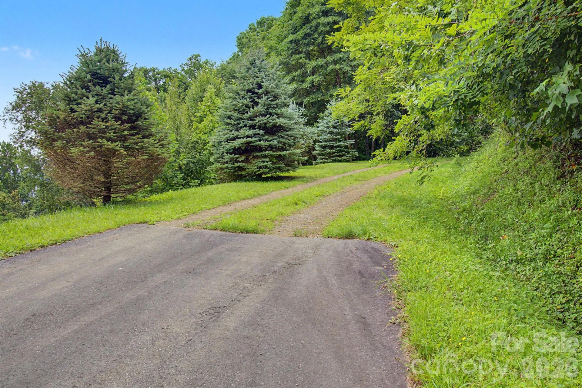 99999 Davidson Gap Road #79 - Photo 7