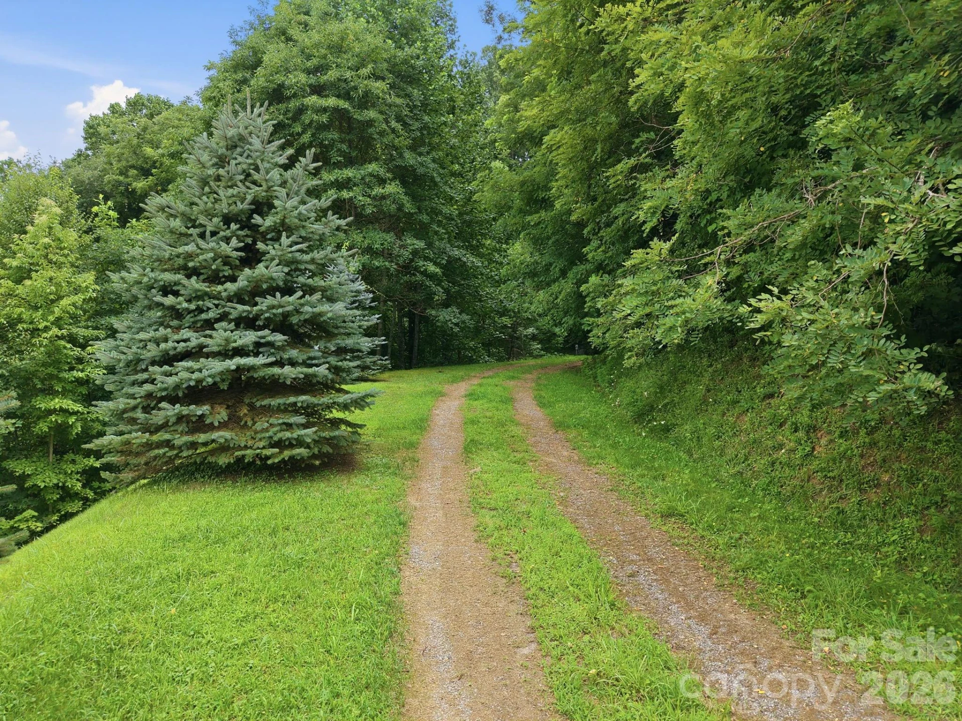 99999 Davidson Gap Road #79 - Photo 8