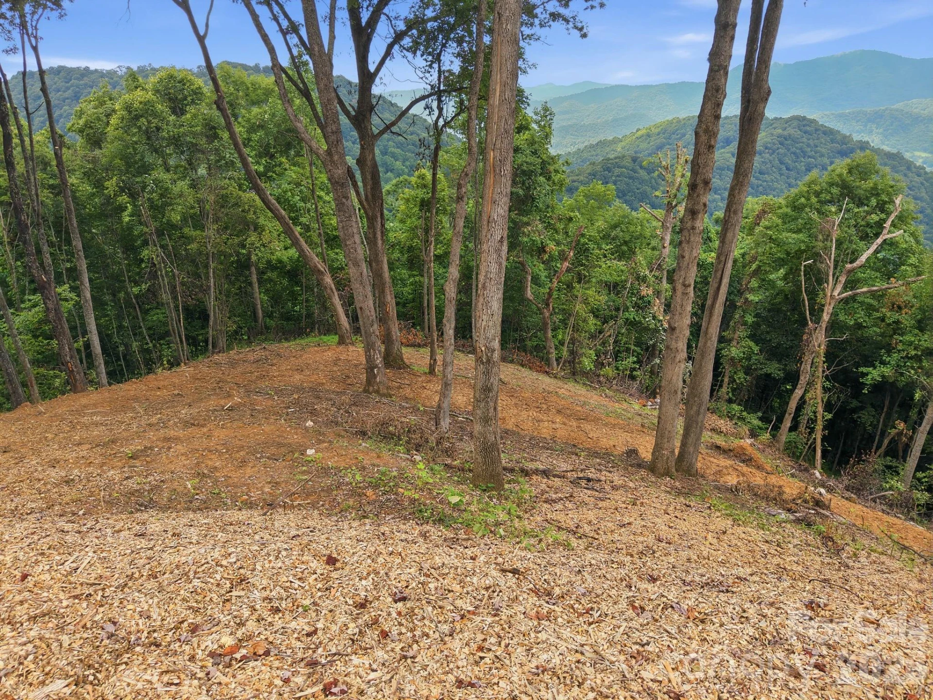 99999 Davidson Gap Road #79 - Photo 11