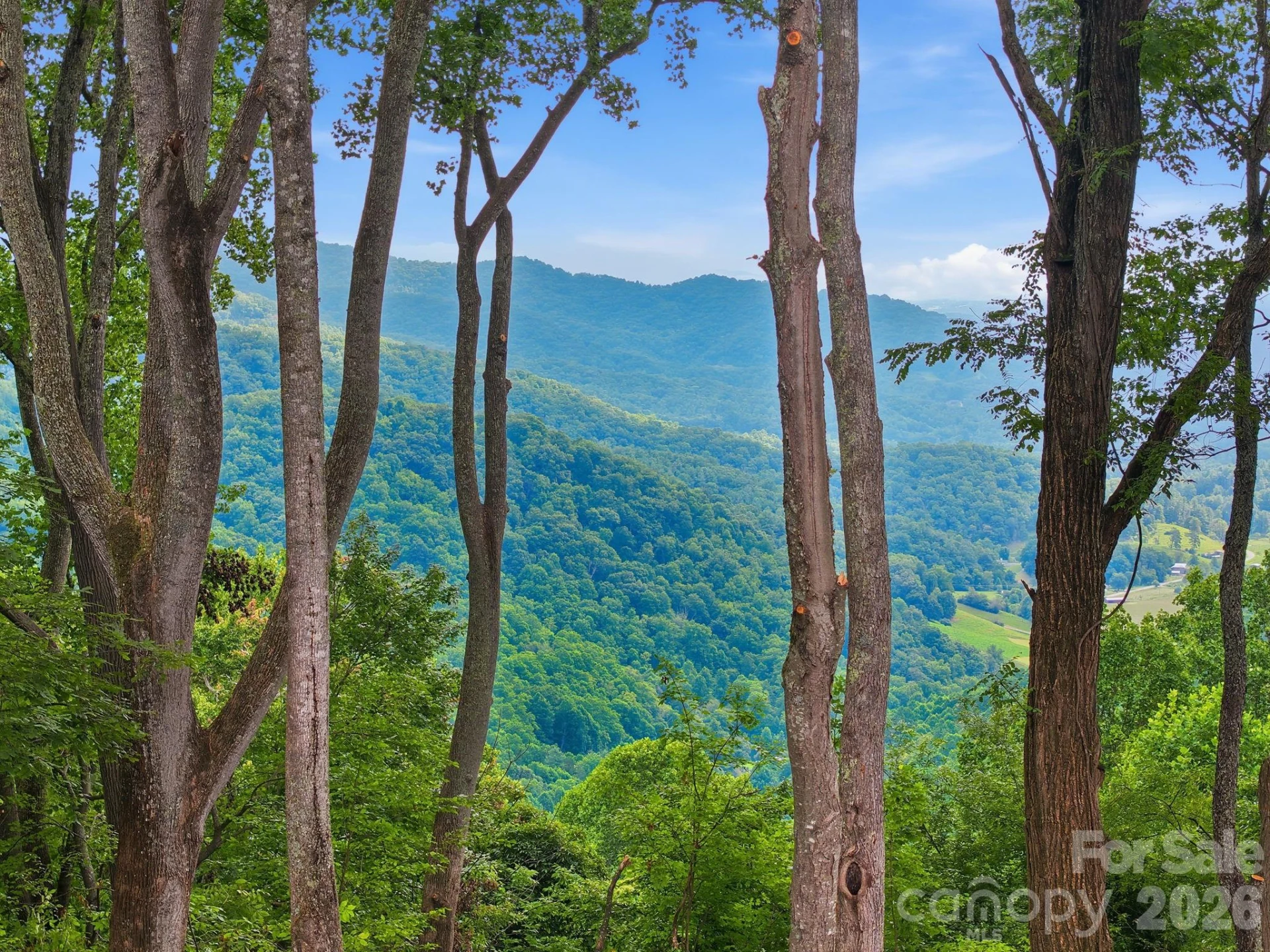 99999 Davidson Gap Road #79 - Photo 13