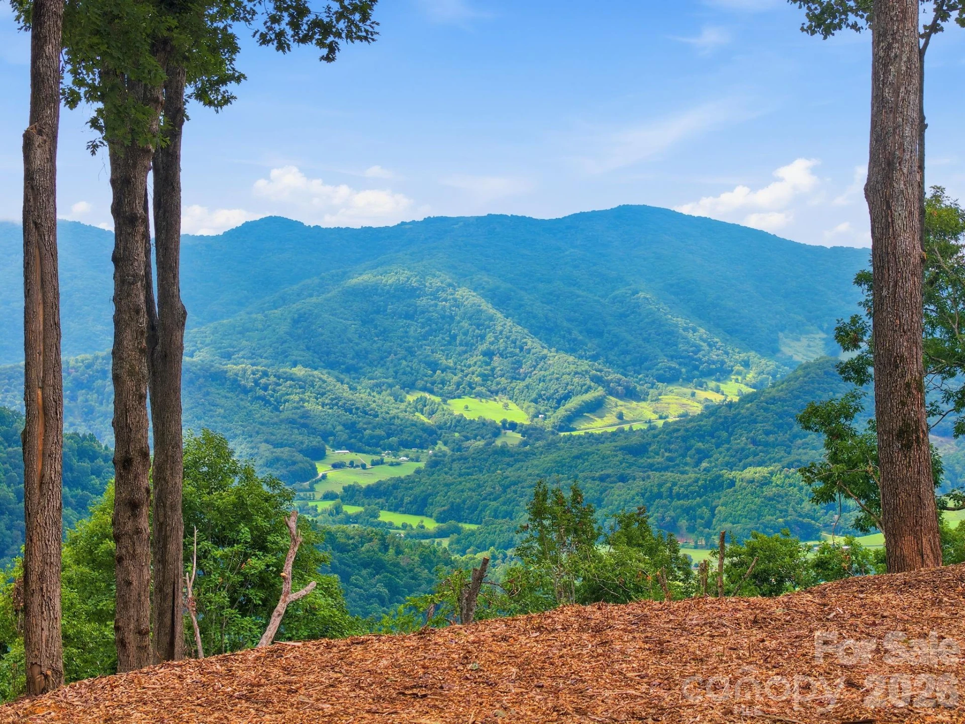 99999 Davidson Gap Road #79 - Photo 14