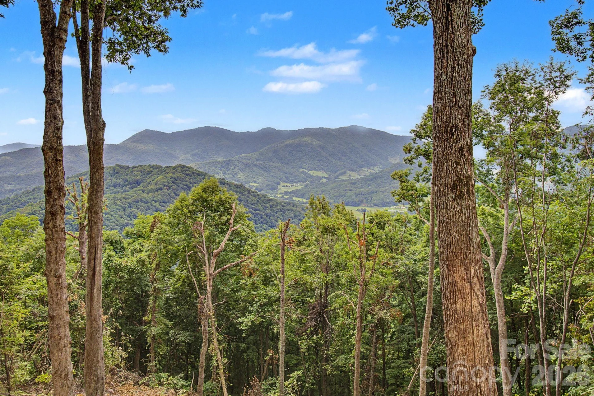 99999 Davidson Gap Road #79 - Photo 15