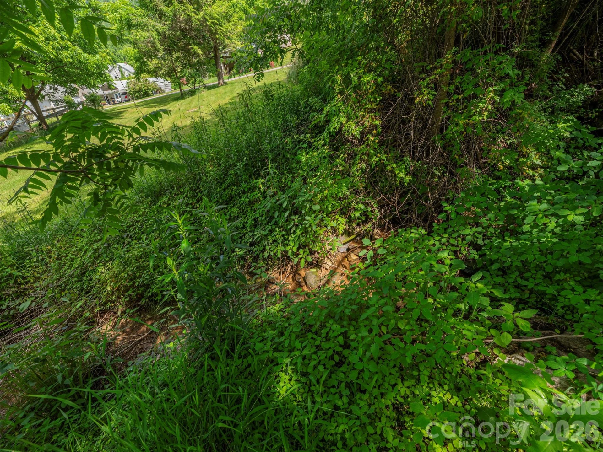 5622 Dutch Cove Road - Photo 11