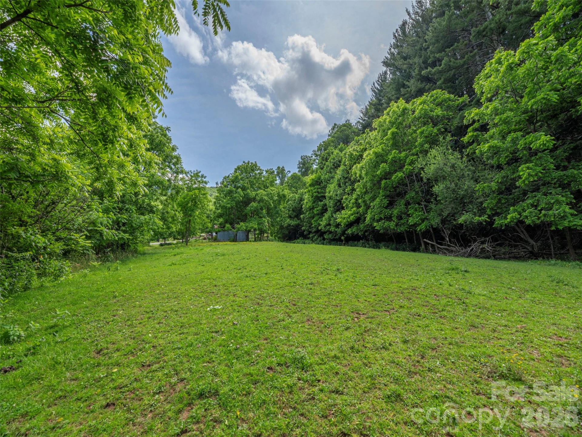 5622 Dutch Cove Road - Photo 12