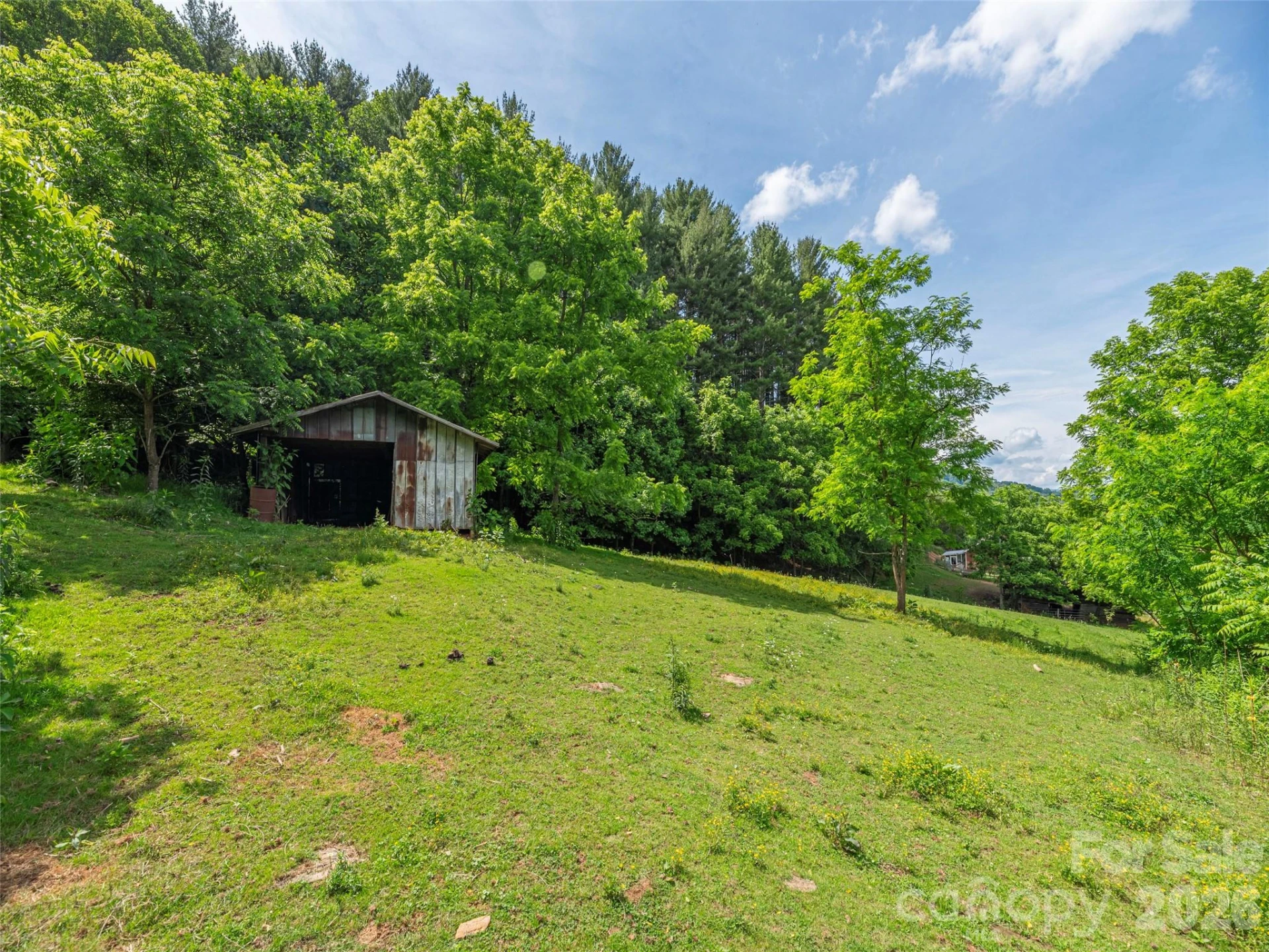 5622 Dutch Cove Road - Photo 6