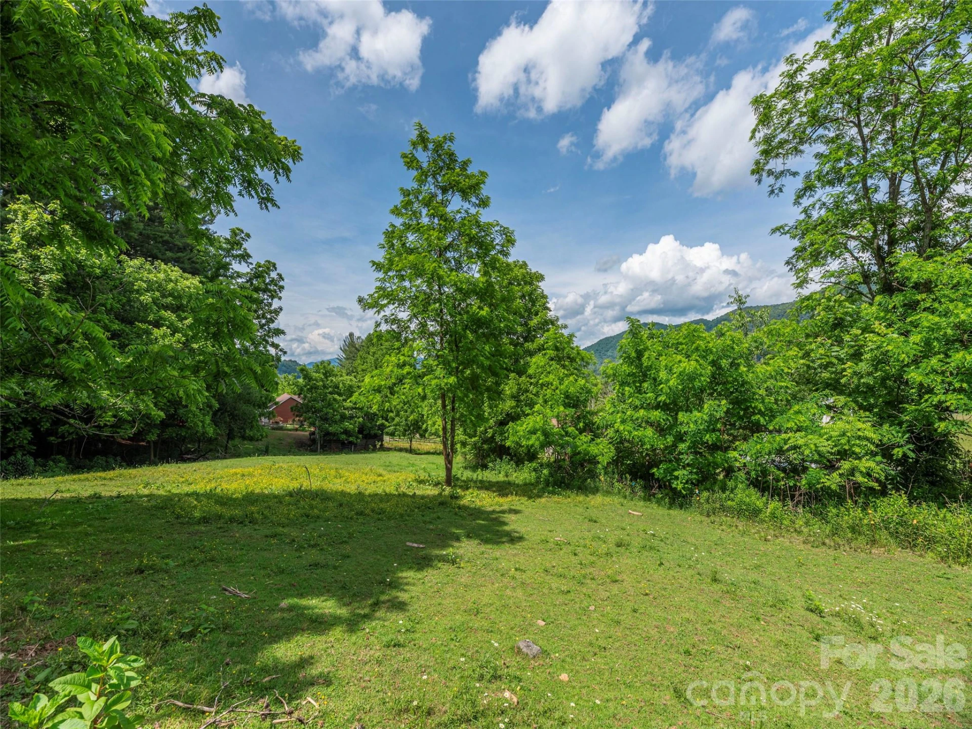 5622 Dutch Cove Road - Photo 8