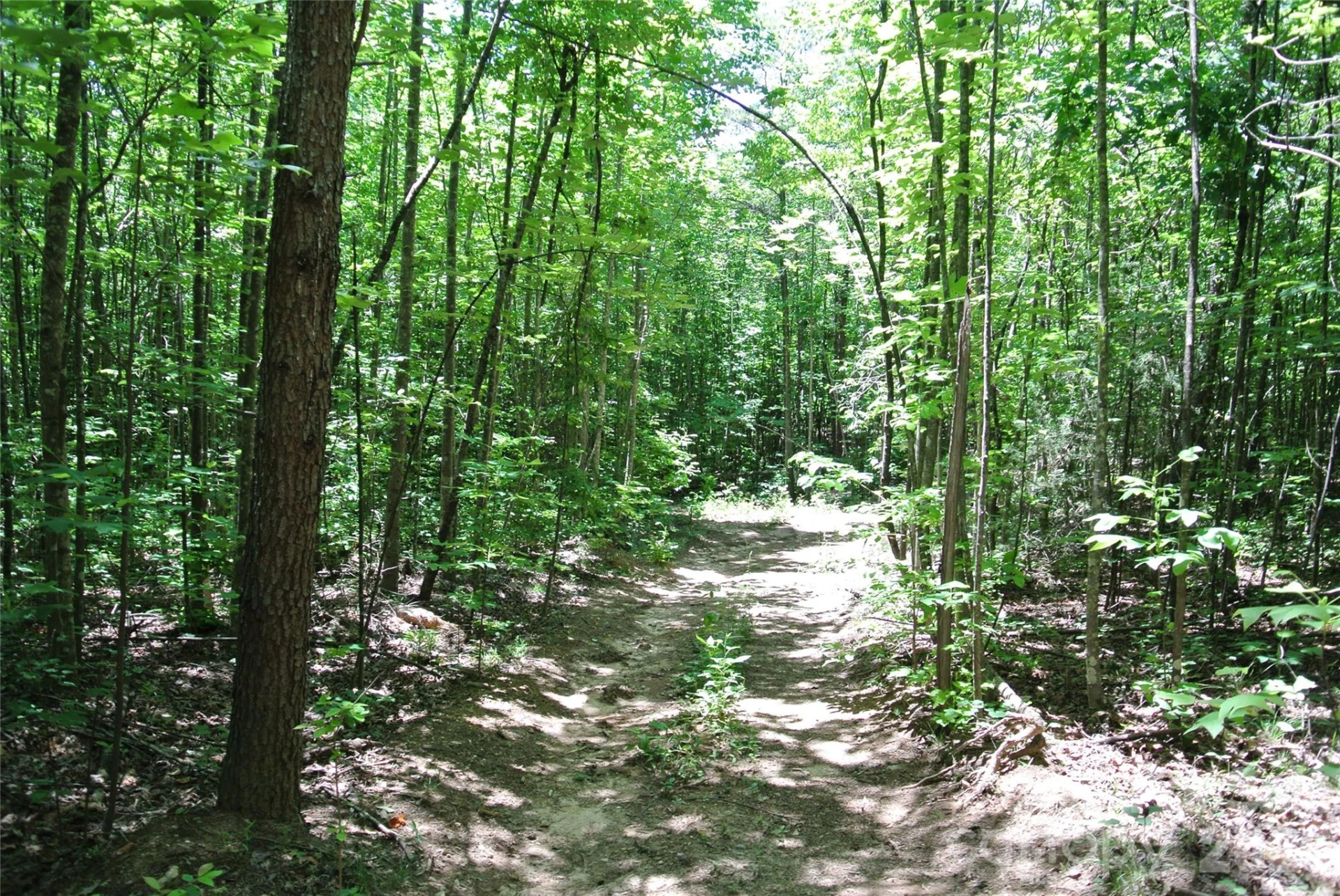 779 Thermal City Road - Photo 31