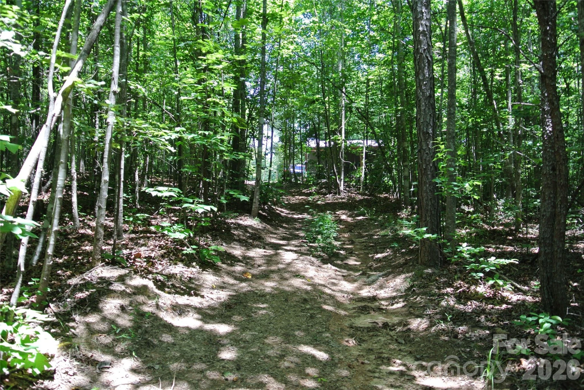 779 Thermal City Road - Photo 32