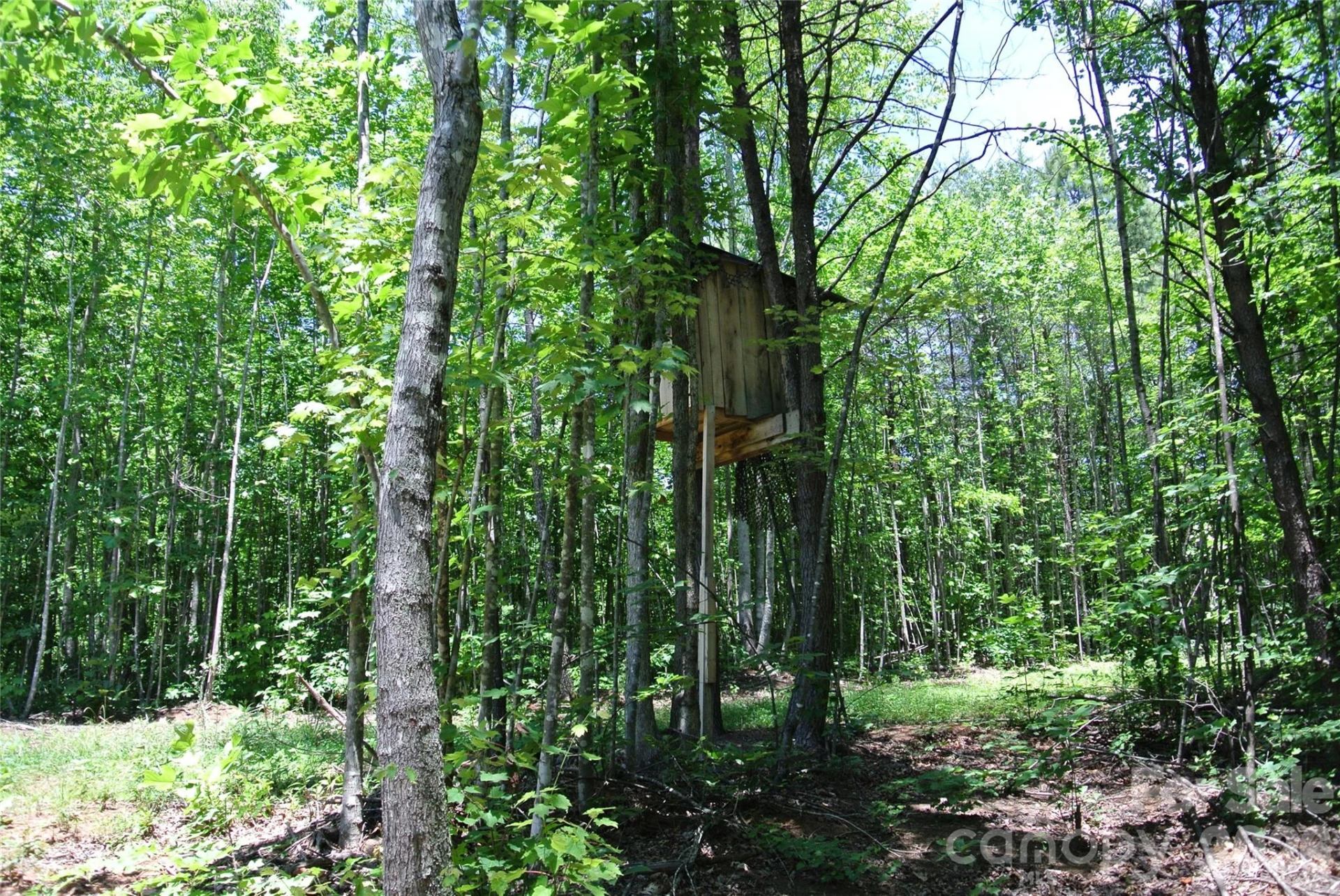 779 Thermal City Road - Photo 33