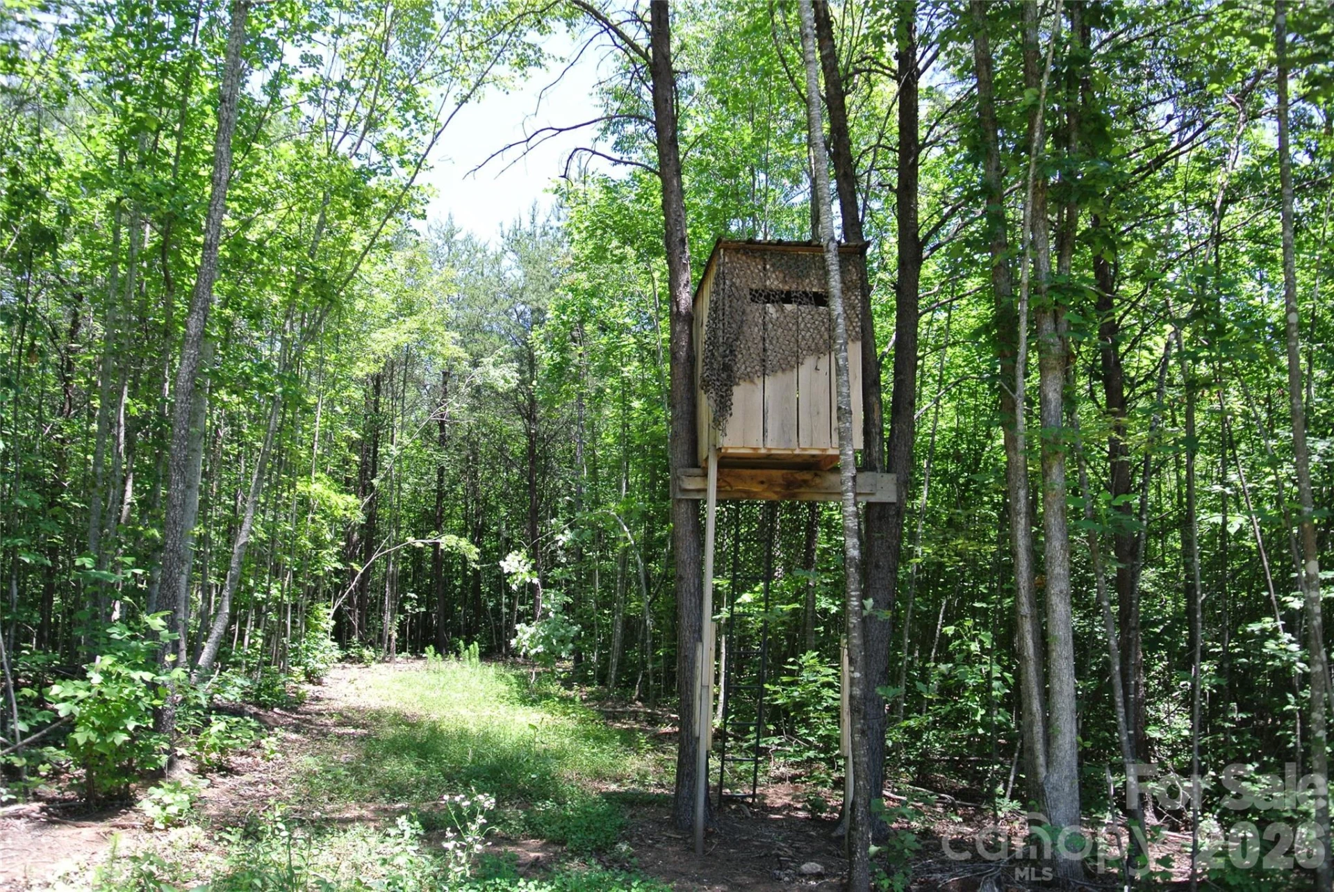 779 Thermal City Road - Photo 36