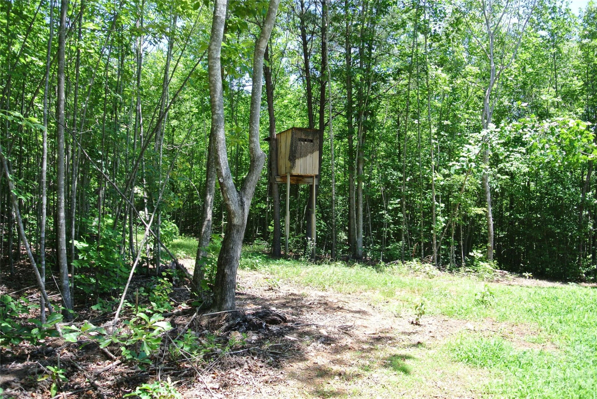 779 Thermal City Road - Photo 38