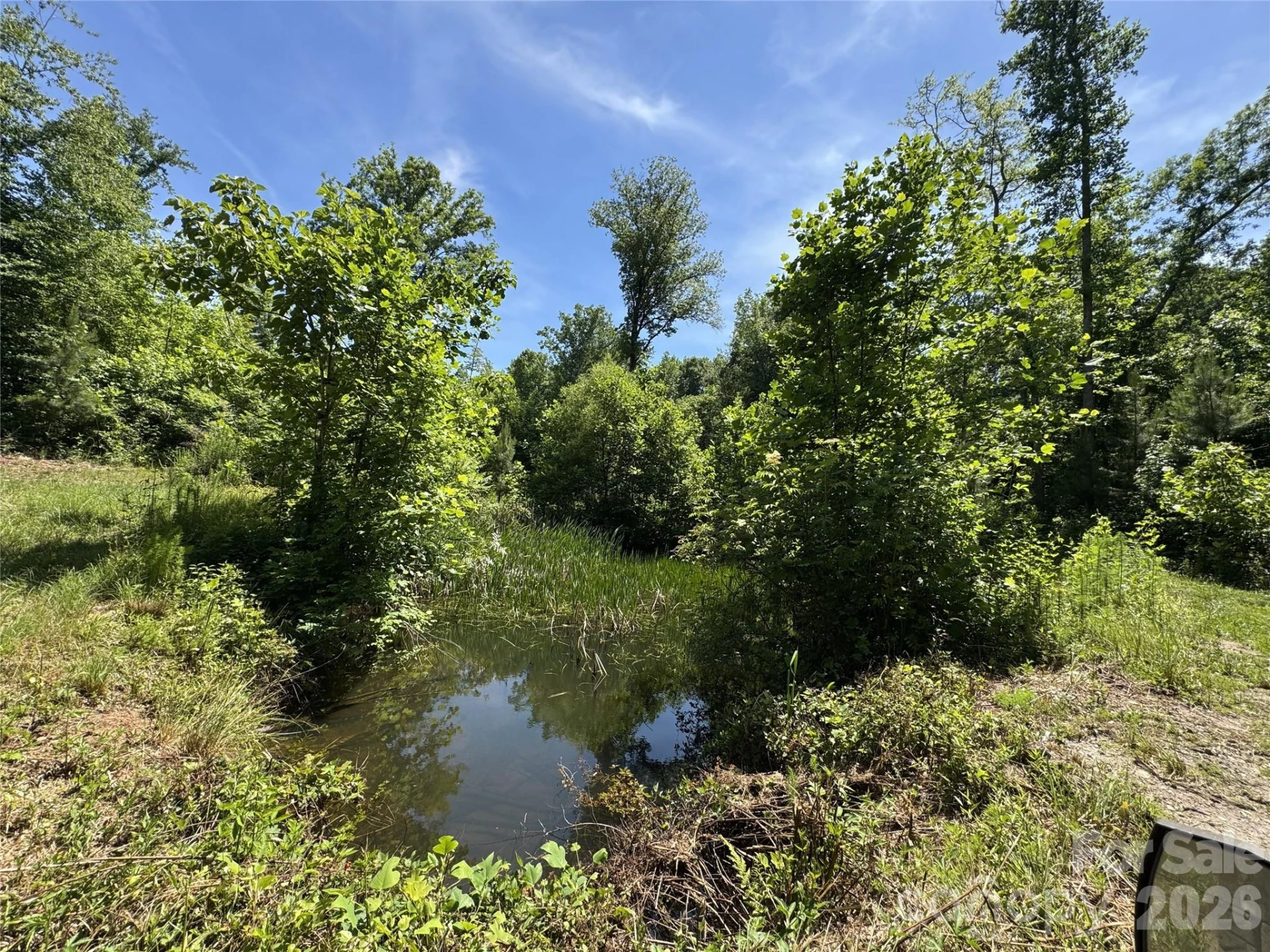 473 McEntire Road - Photo 4