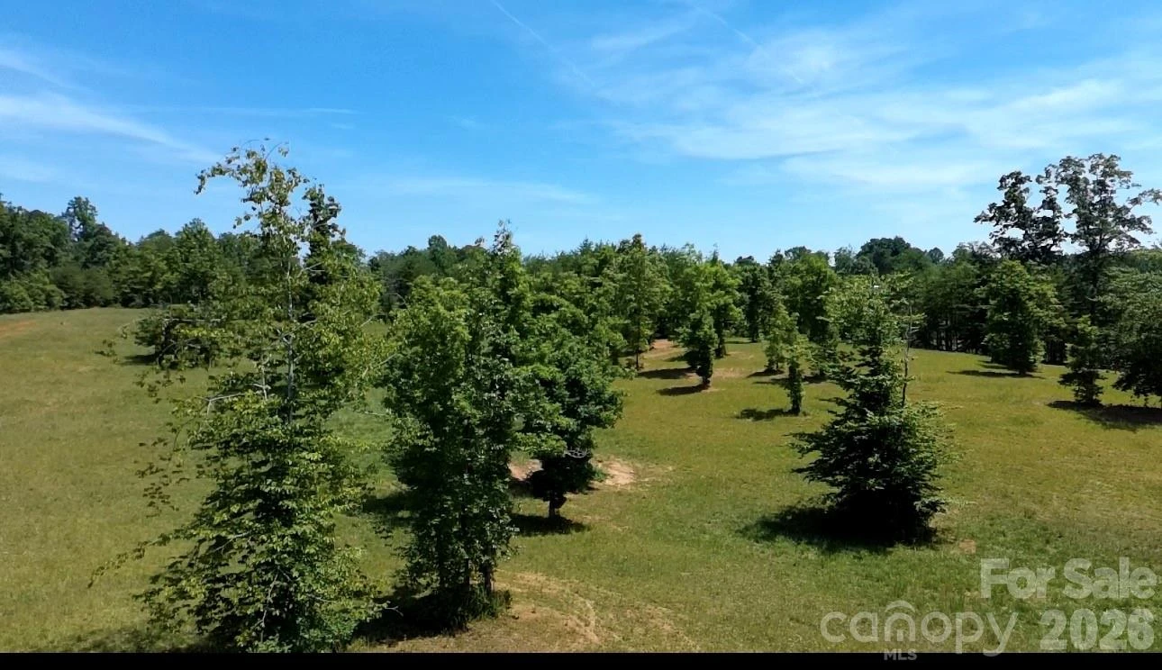 473 McEntire Road - Photo 9