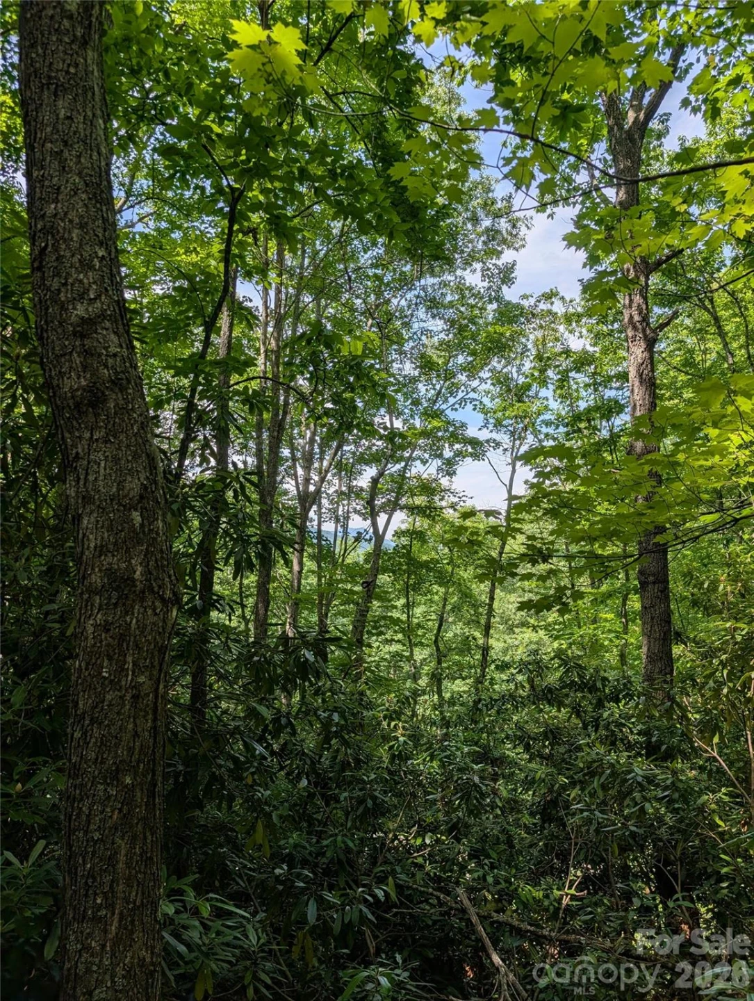 000 Pisgah Highway - Photo 2