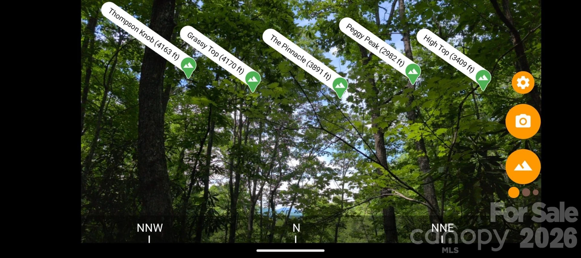000 Pisgah Highway - Photo 3