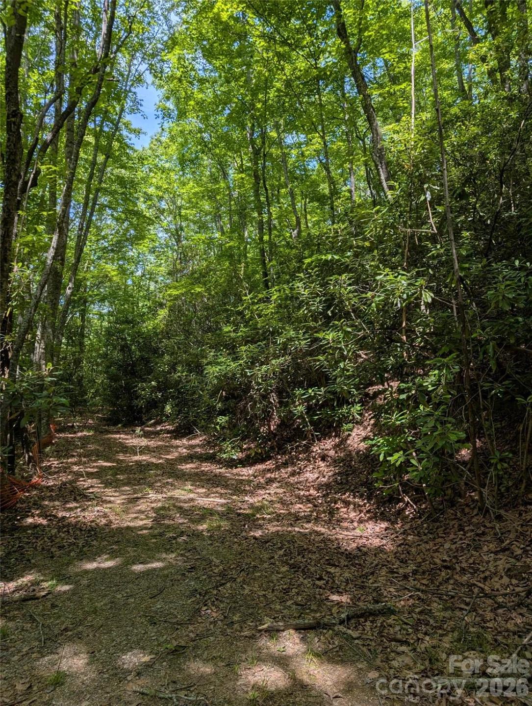 000 Pisgah Highway - Photo 4