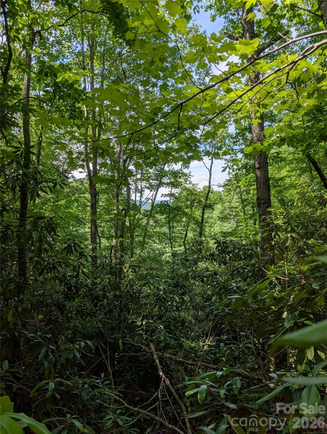 000 Pisgah Highway - Photo 5