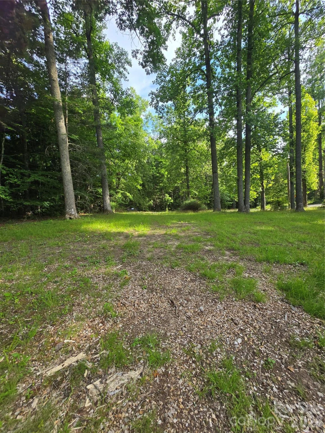 1480 Davis Mountain Road - Photo 19