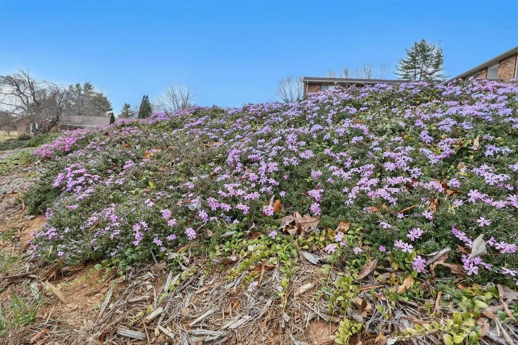 114 Falling Waters Road #2 - Photo 22