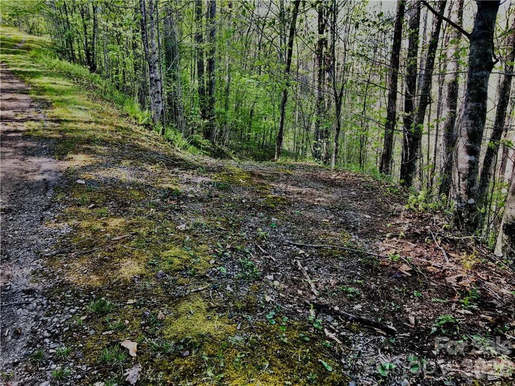 99 &57 Fern Hill Drive - Photo 2