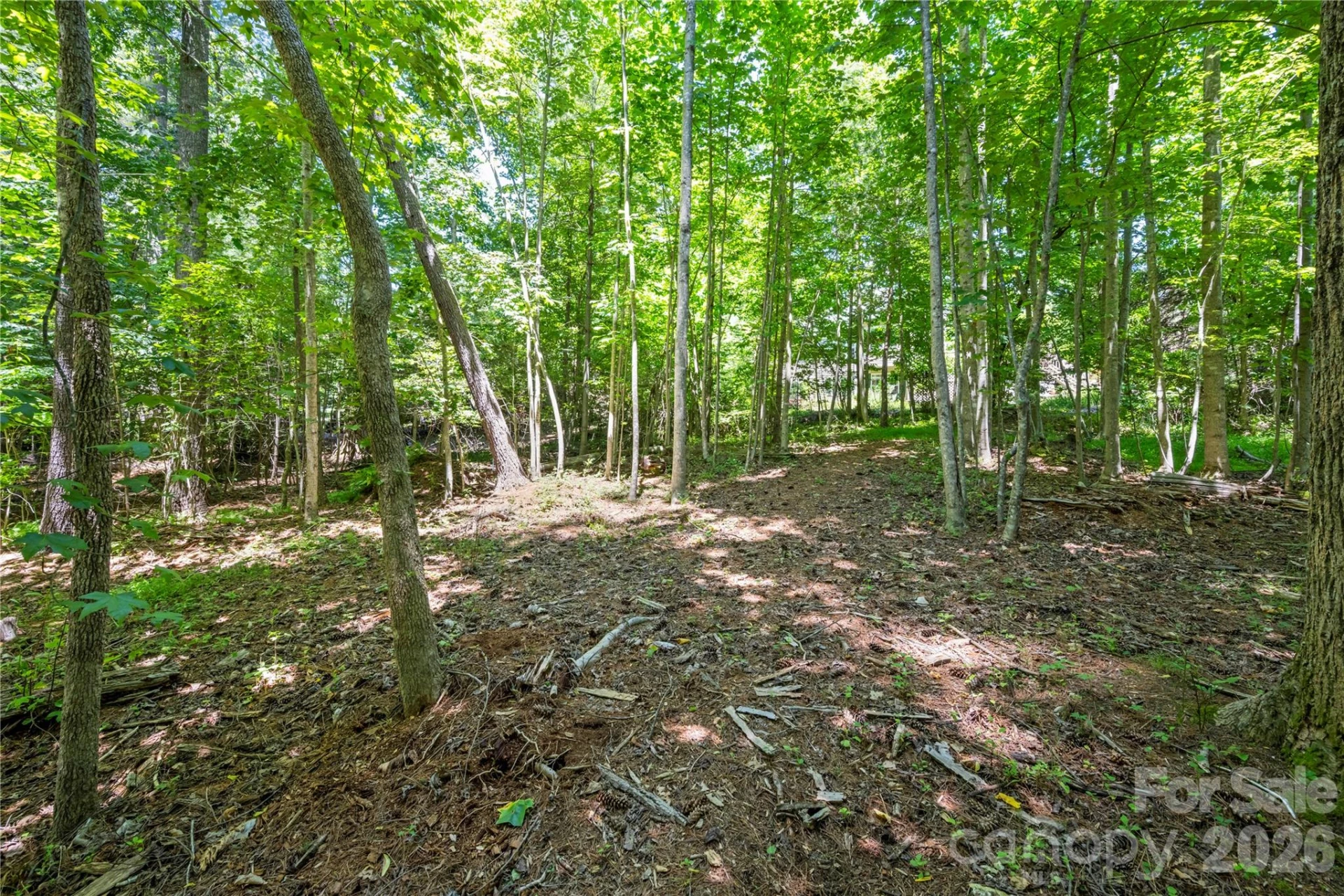 9 Tall Pines Road - Photo 40
