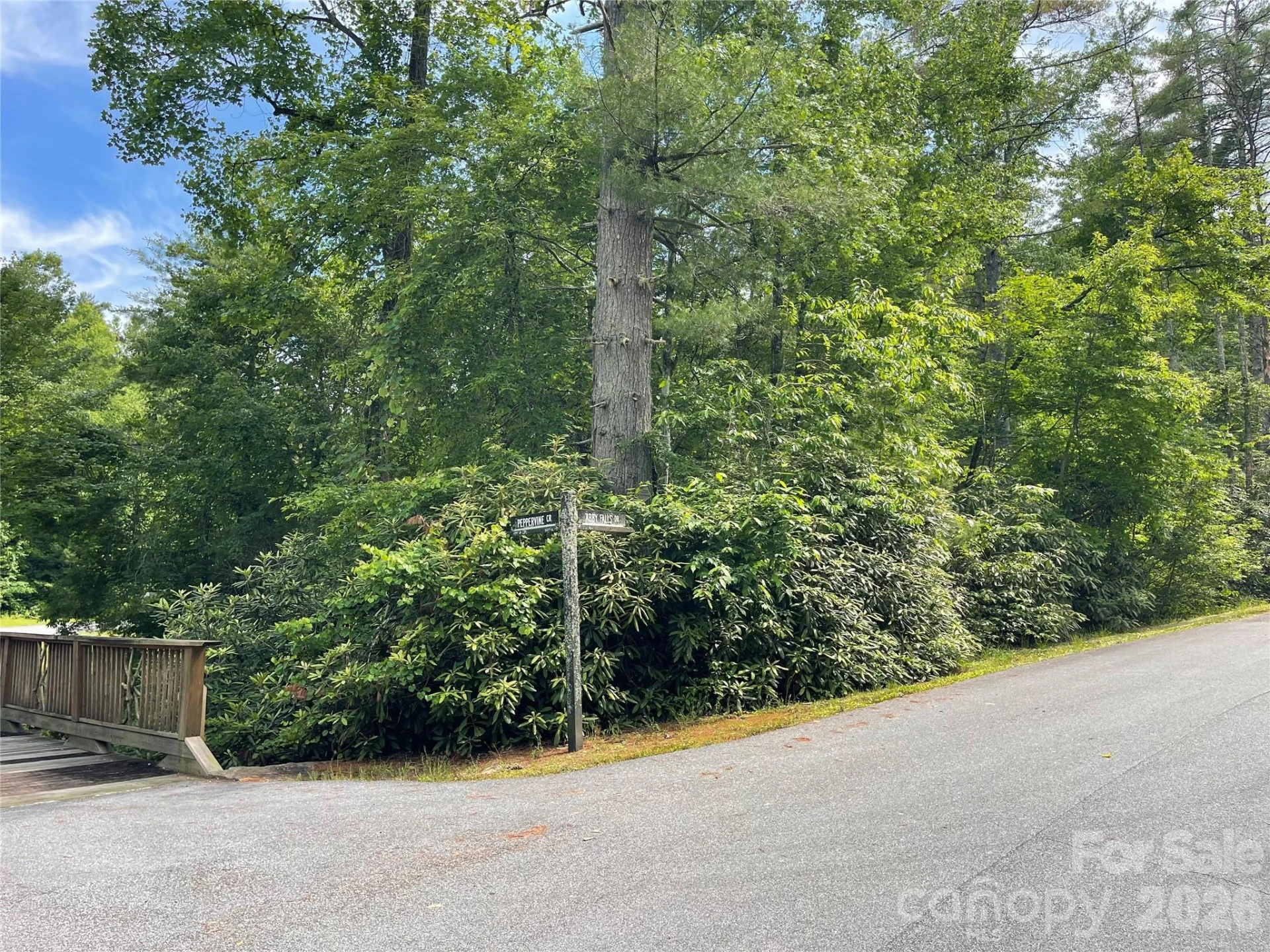 Lot 45 Abby Falls Drive - Photo 2
