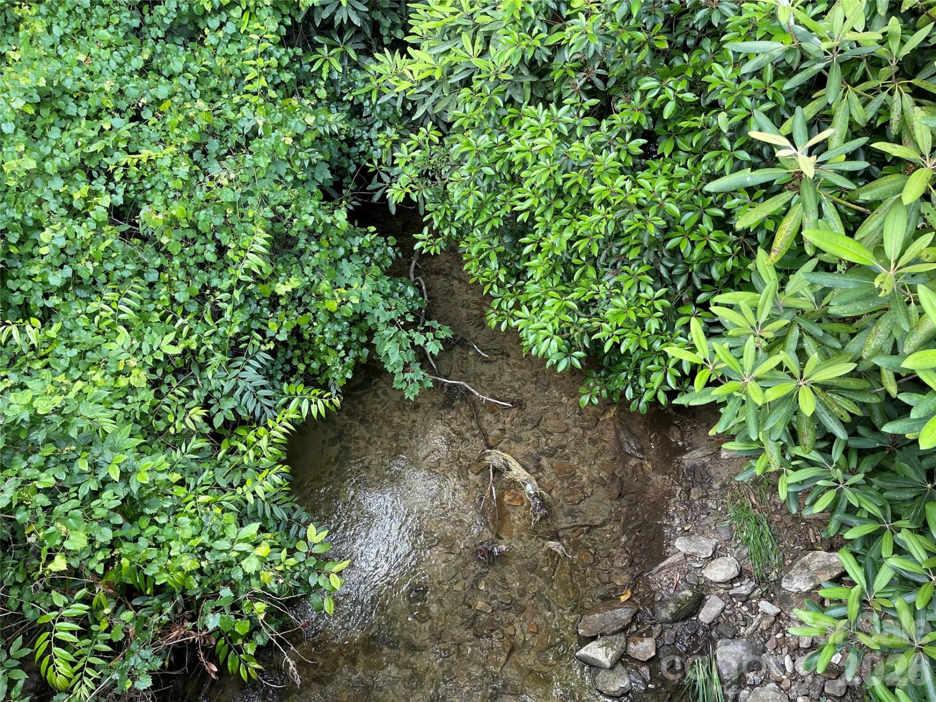Lot 45 Abby Falls Drive - Photo 12