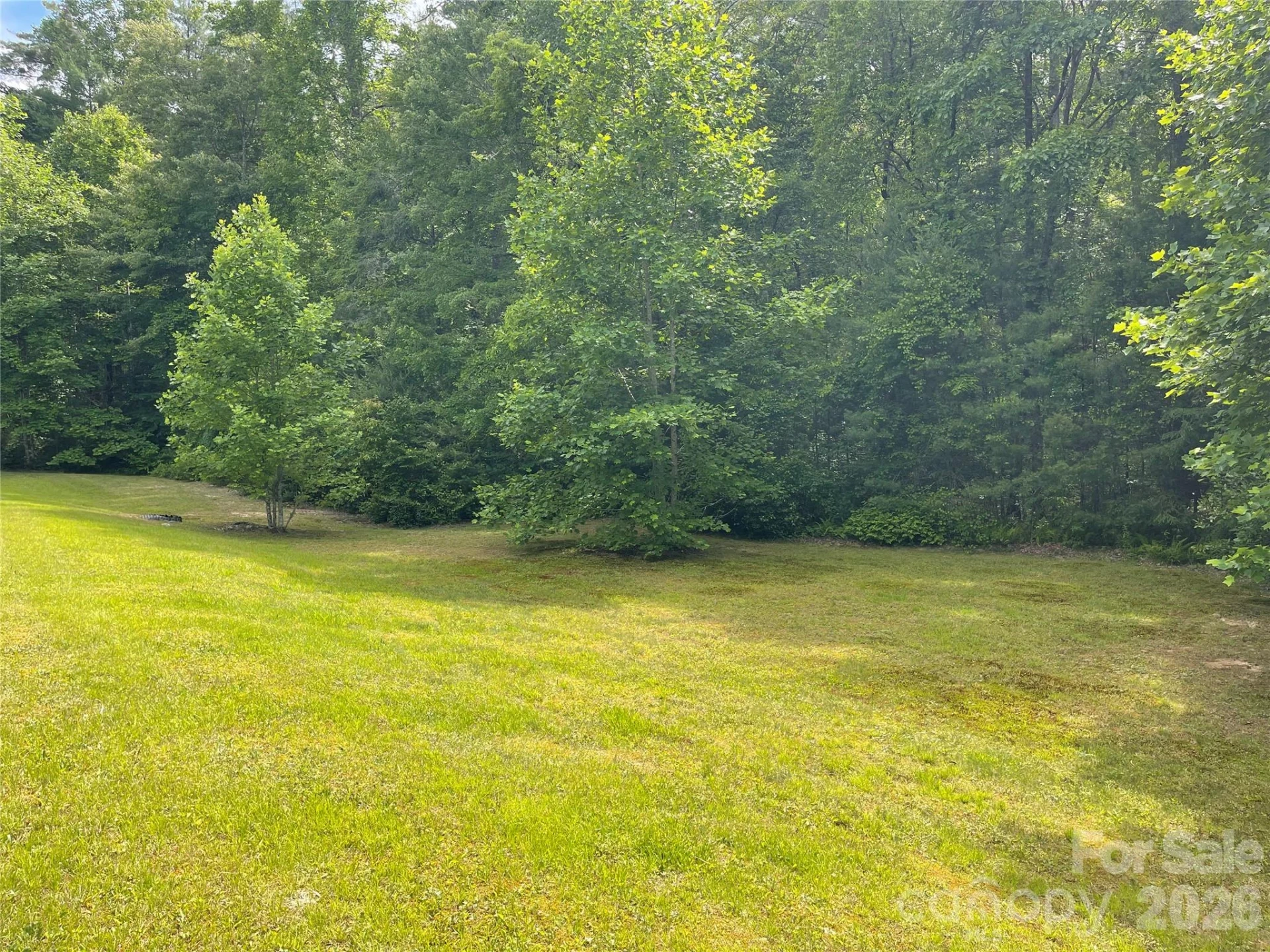 Lot 45 Abby Falls Drive - Photo 13